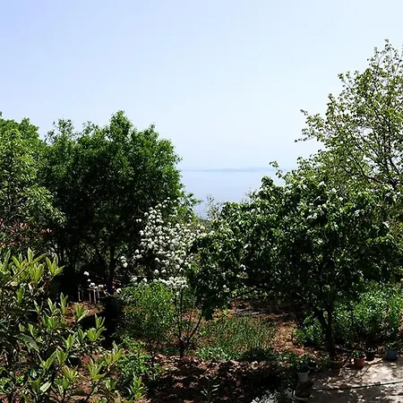 Assosida Ayvacik (Canakkale)